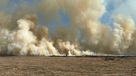 На юге Беларуси начались масштабные пожары