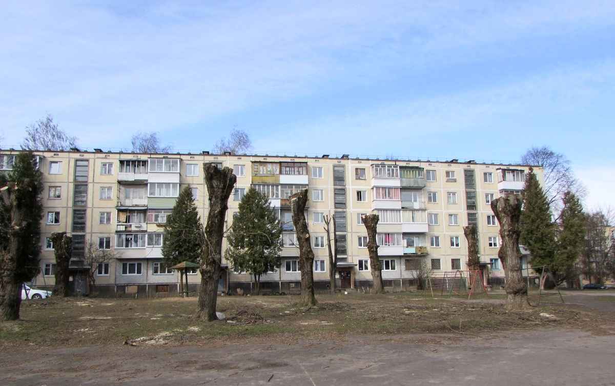 Минприроды «запретило» белорусам рубить деревья, даже если сами посадили