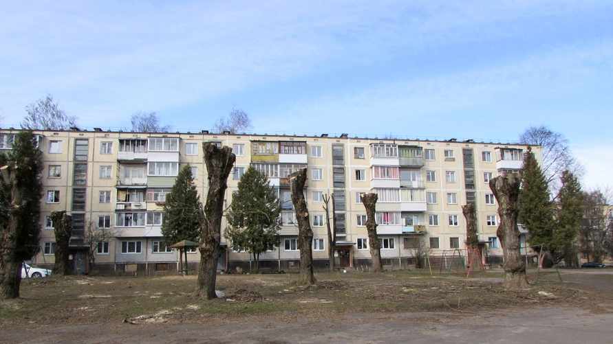 Минприроды «запретило» белорусам рубить деревья, даже если сами посадили