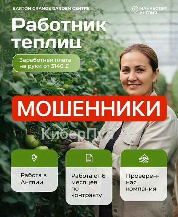 Белорусов зовут на работу за границей на зарплаты под 3000 евро. В милиции попросили не делать 3 вещи