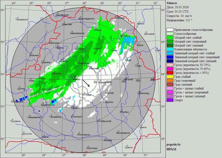 В Беларуси пошел снег «Давно такого не видели». Надолго?