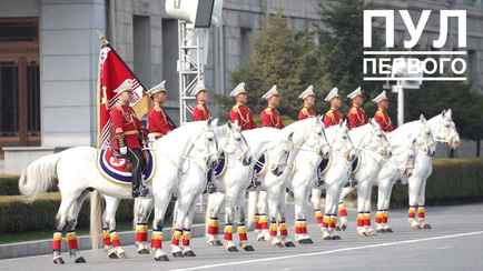 В КНДР для встречи Лукашенко устроили масштабный парад с салютом и конницей