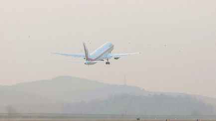 Лукашенко еще не решил, полетит ли к Трампу