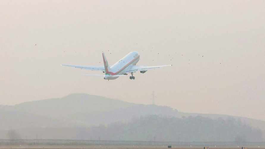 Лукашенко еще не решил, полетит ли к Трампу