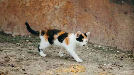 Мартовское тепло в Беларуси бьет рекорды. Но впереди похолодание, снег и «свежий ветер»