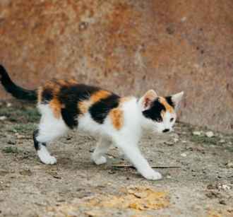 Мартовское тепло в Беларуси бьет рекорды. Но впереди похолодание, снег и «свежий ветер»