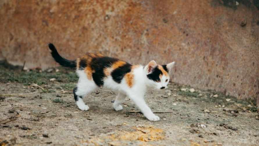 Мартовское тепло в Беларуси бьет рекорды. Но впереди похолодание, снег и "свежий ветер"