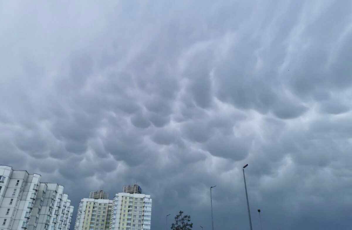 В Беларуси пошел снег: «Давно такого не видели». Надолго?