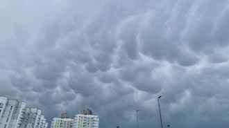 В Беларуси пошел снег: «Давно такого не видели». Надолго?