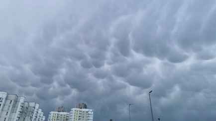 В Беларуси пошел снег: «Давно такого не видели». Надолго?