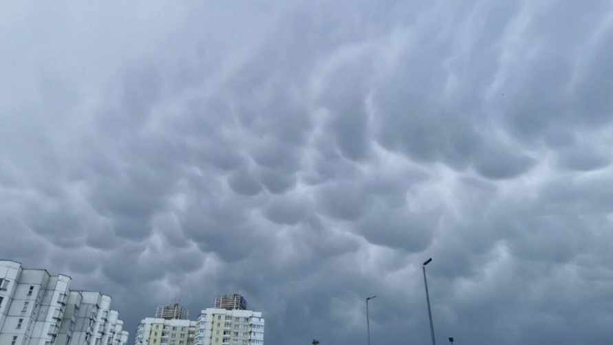 В Беларуси пошел снег: «Давно такого не видели». Надолго?