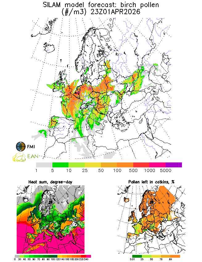 Один из регионов Беларуси станет некомфортным для аллергиков