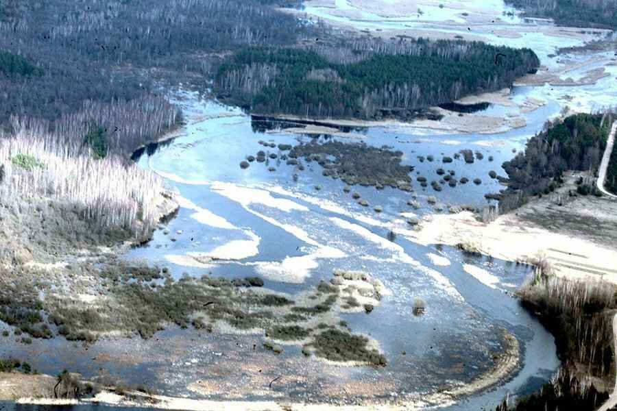 В Беларуси начался рост уровней воды. Какие реки вскрылись