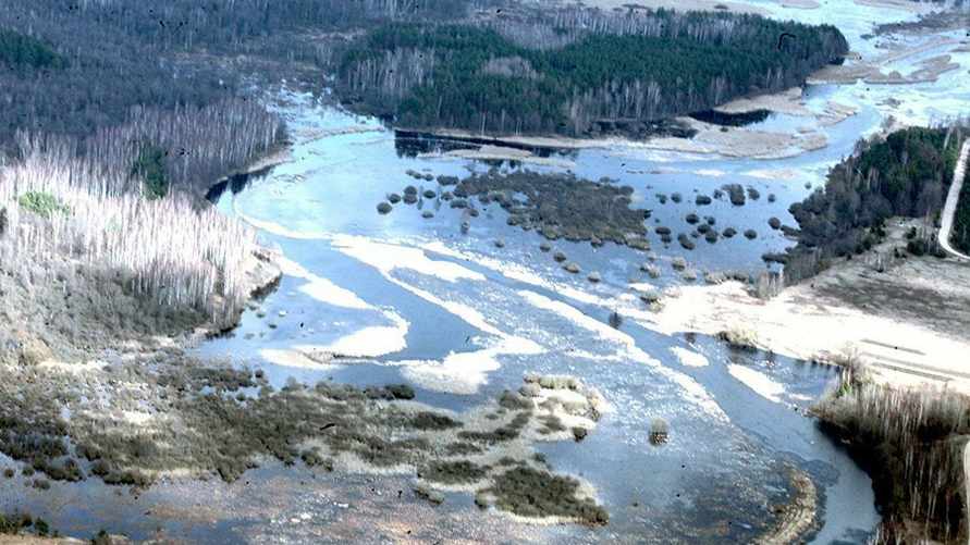 В Беларуси начался рост уровней воды. Какие реки вскрылись