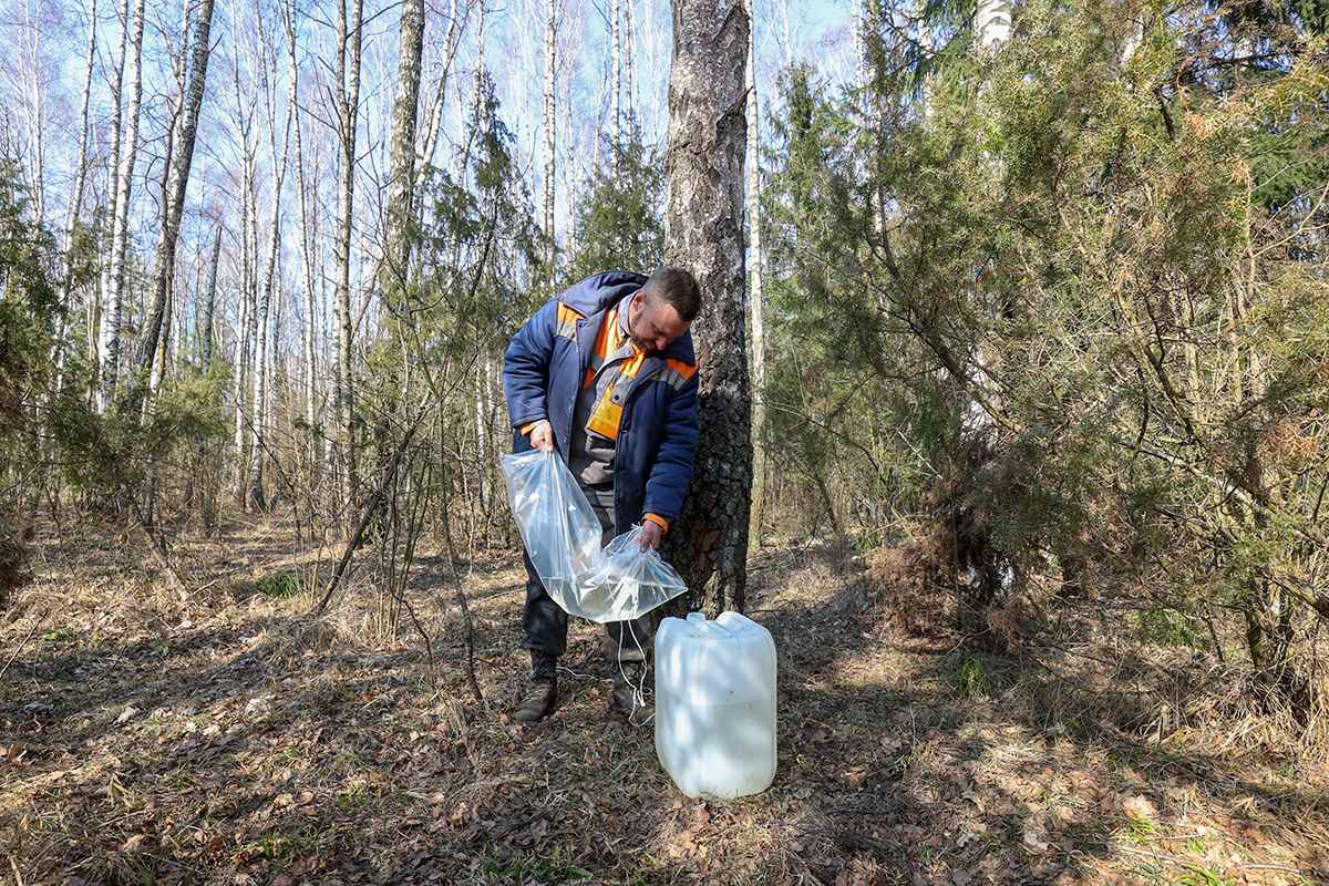 Фото иллюстрационное