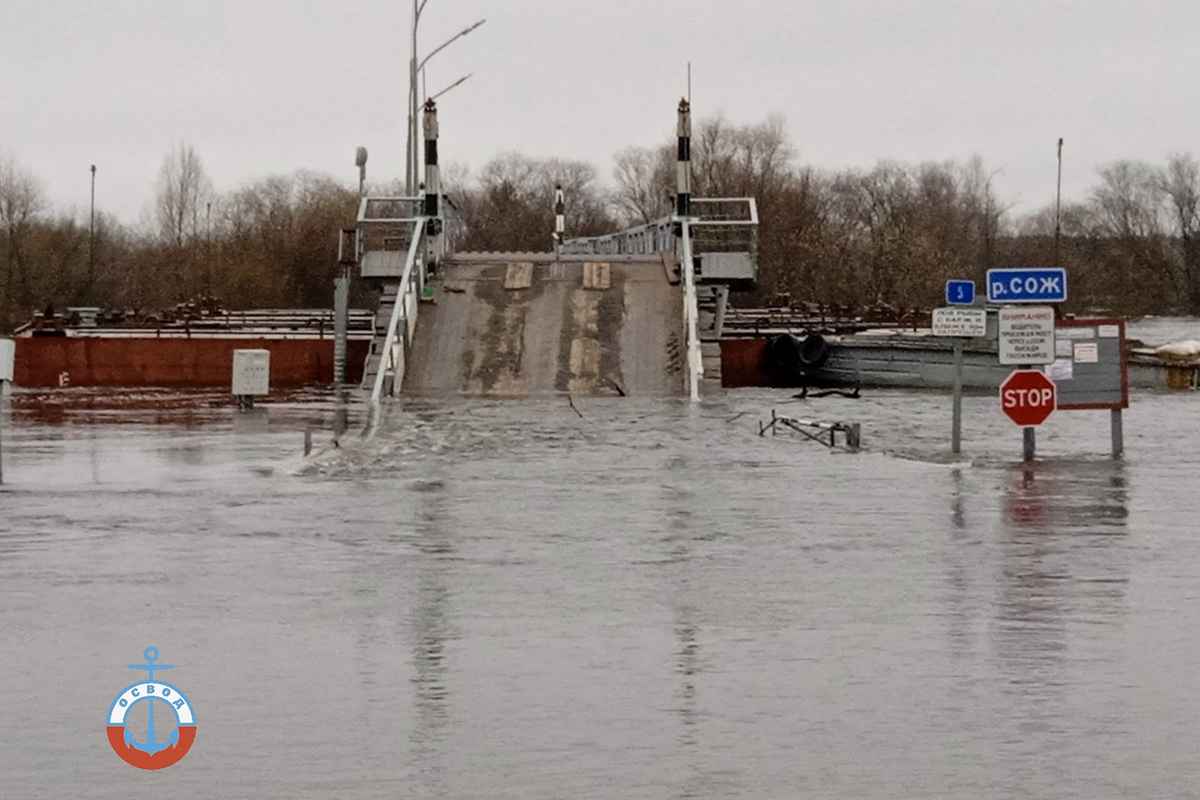 На каких белорусских реках уровень воды вырос на 68 см за сутки