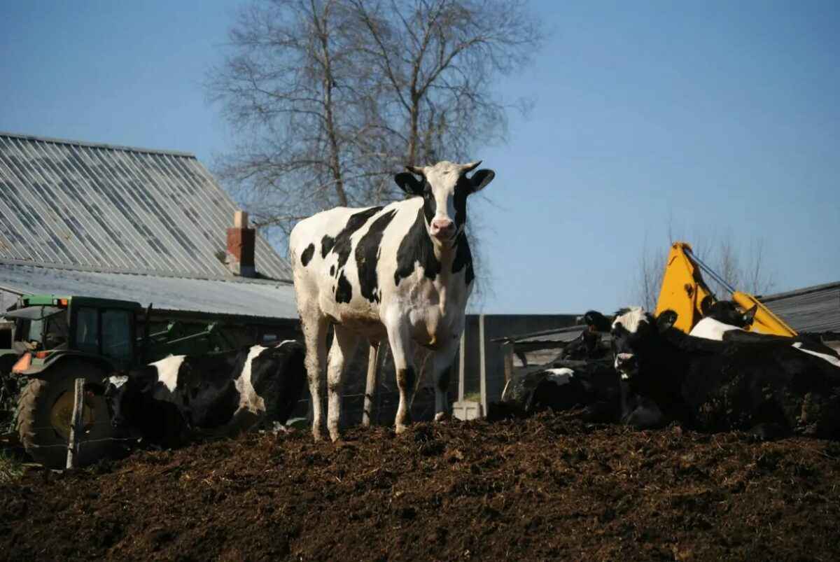 США предупредили о распространении в России одной из самых опасных болезней