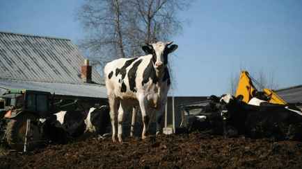 США предупредили о распространении в России одной из самых опасных болезней