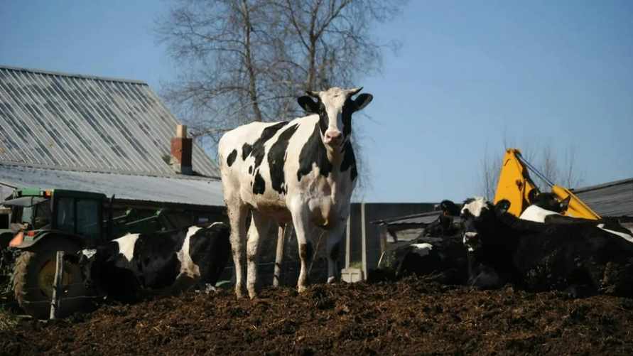 США предупредили о распространении в России одной из самых опасных болезней