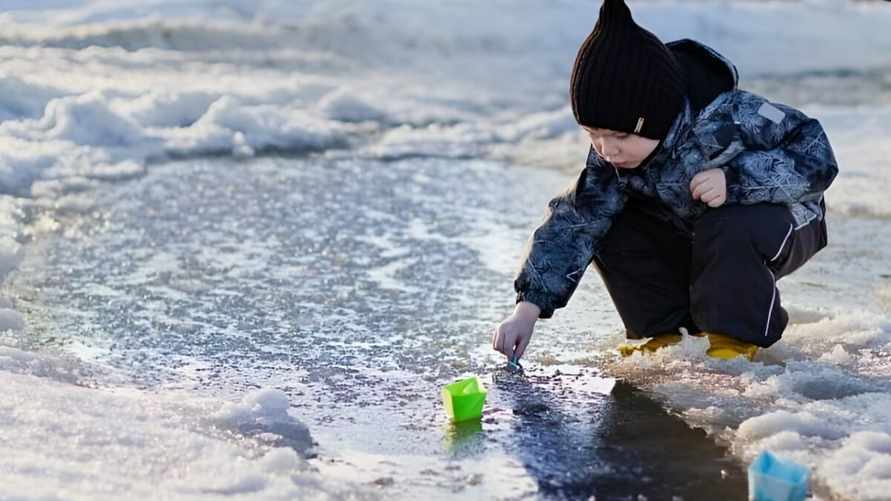 Фото иллюстрационное