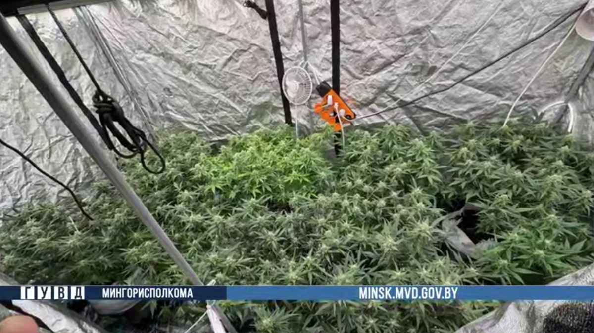 Милиция завела уголовку на минчанина за туристическую палатку в квартире