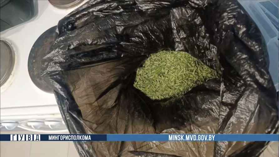 Милиция завела уголовку на минчанина за туристическую палатку в квартире