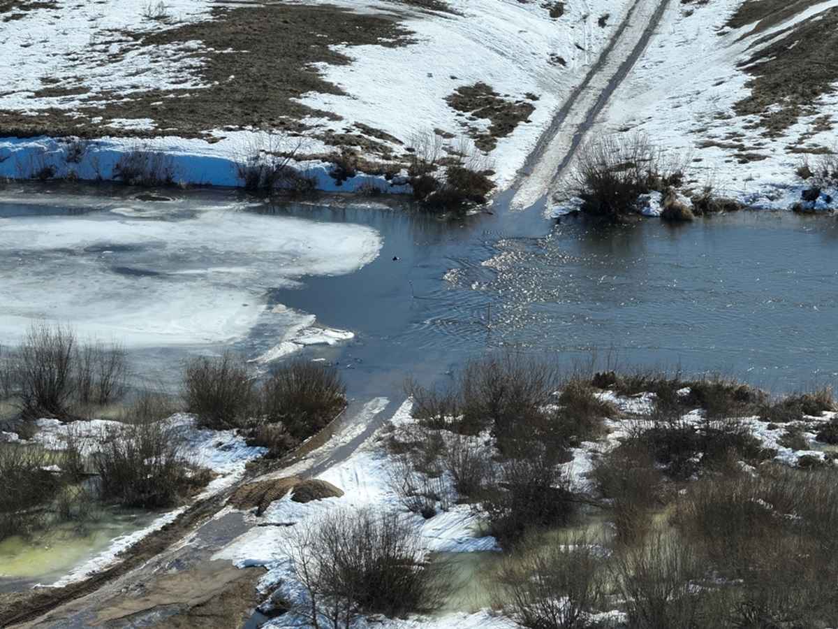 Фото: МЧС Могилевщины 