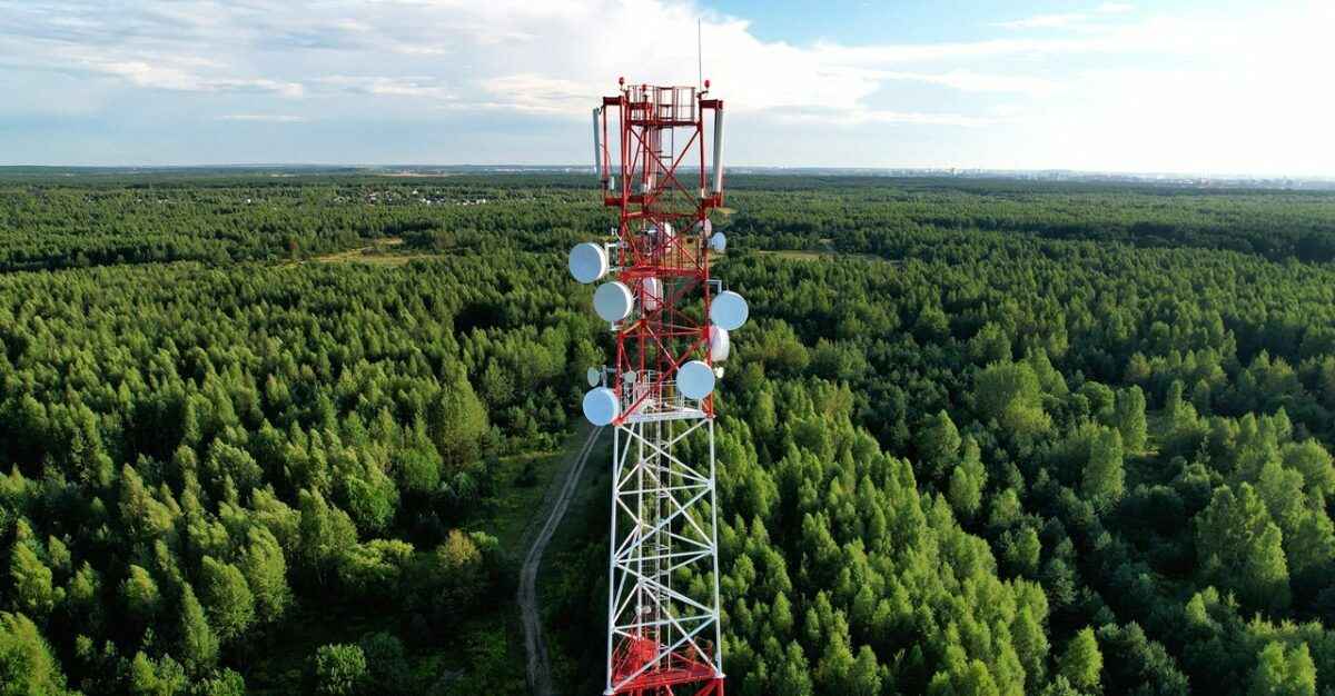 Фото иллюстрационное