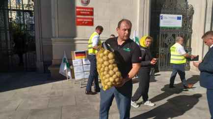 Польские фермеры бесплатно раздают тонны картошки. Но разбирают неохотно