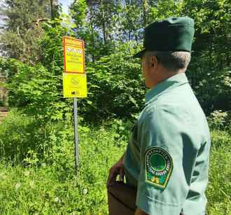 Все леса Беларуси покрыли видеонаблюдением – Минлесхоз