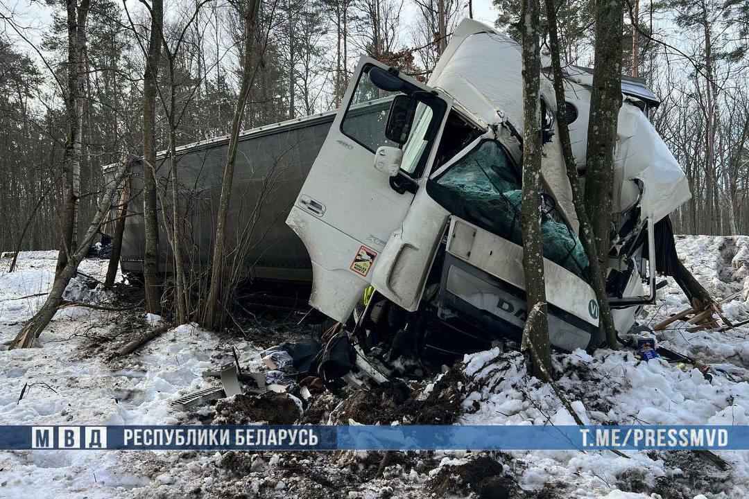 На Гомельщине в ДТП фуры с легковушкой погибла женщина с 9-летним сыном