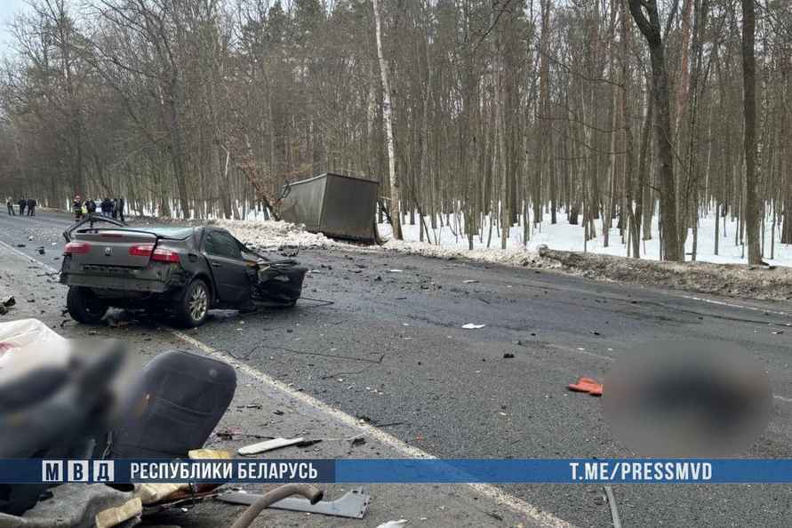 На Гомельщине в ДТП фуры с легковушкой погибла женщина с 9-летним сыном