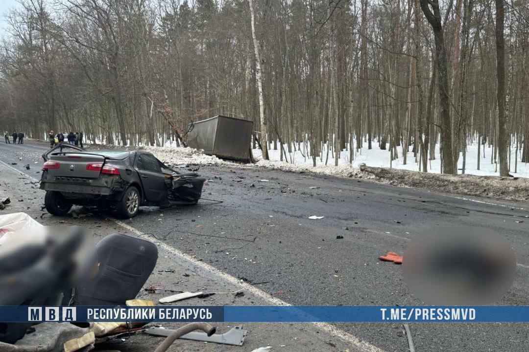 На Гомельщине в ДТП фуры с легковушкой погибла женщина с 9-летним сыном
