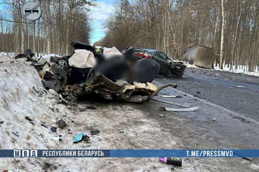 На Гомельщине в ДТП фуры с легковушкой погибла женщина с 9-летним сыном