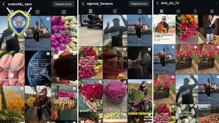 Ущерб уже 230 тыс. рублей. СК разыскивает жертв «тюльпановых аферистов» с Брестчины