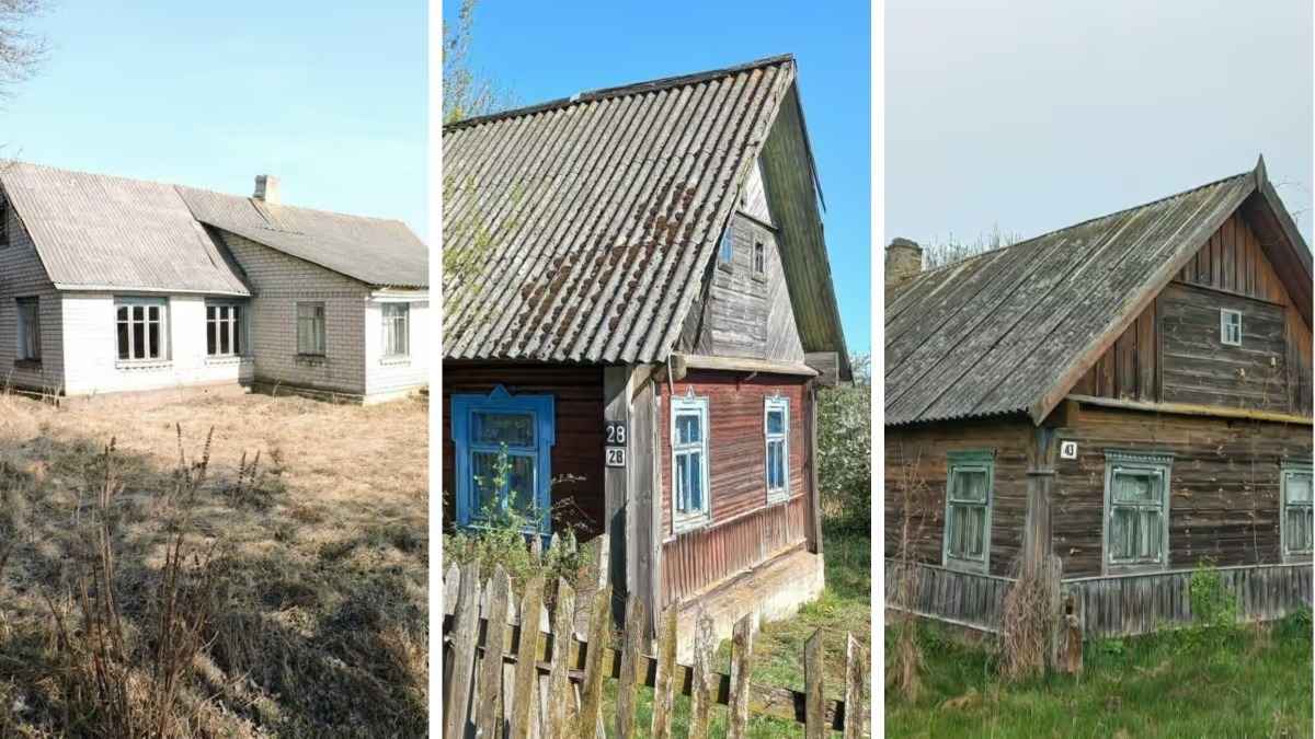 Белорусам предложили получать уведомления о домах в деревне за базовую. Как это работает