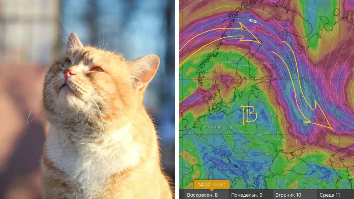 Не исключены первые +20°C. В Беларусь идёт новый антициклон Конрад