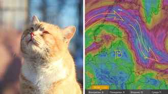 Не исключены первые +20°C. В Беларусь идёт новый антициклон Конрад