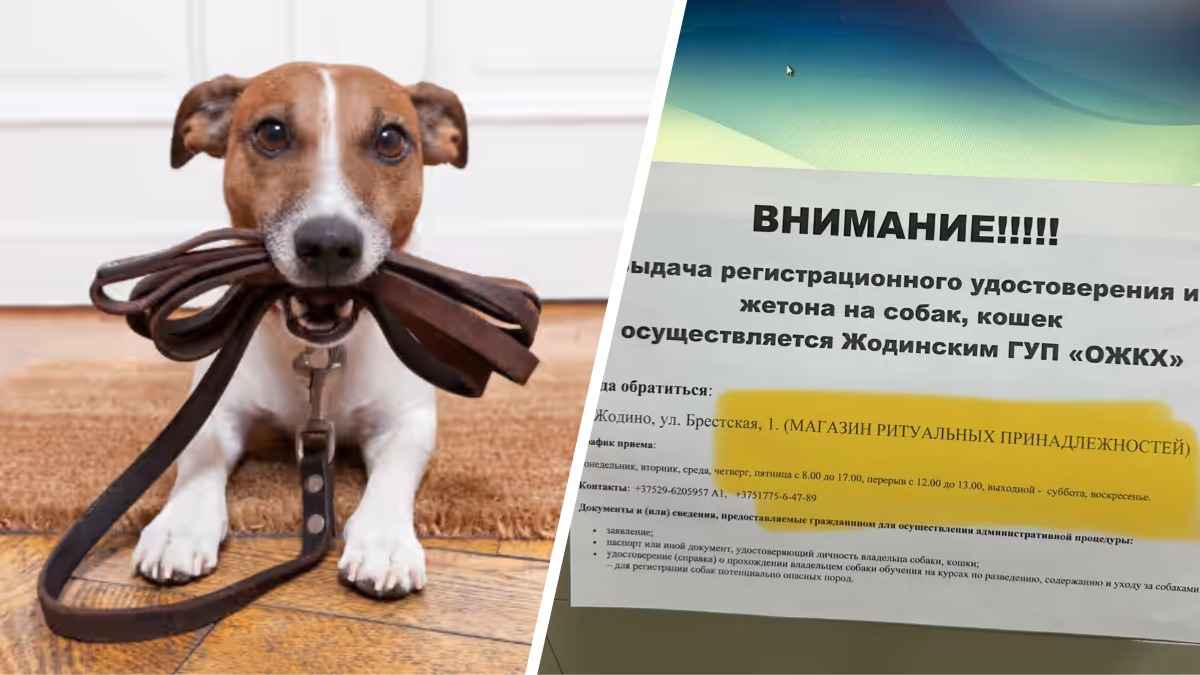Белорусам предложили регистрировать домашних животных в магазине ритуальных товаров
