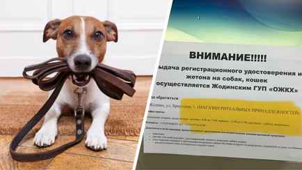 Белорусам предложили регистрировать домашних животных в магазине ритуальных товаров