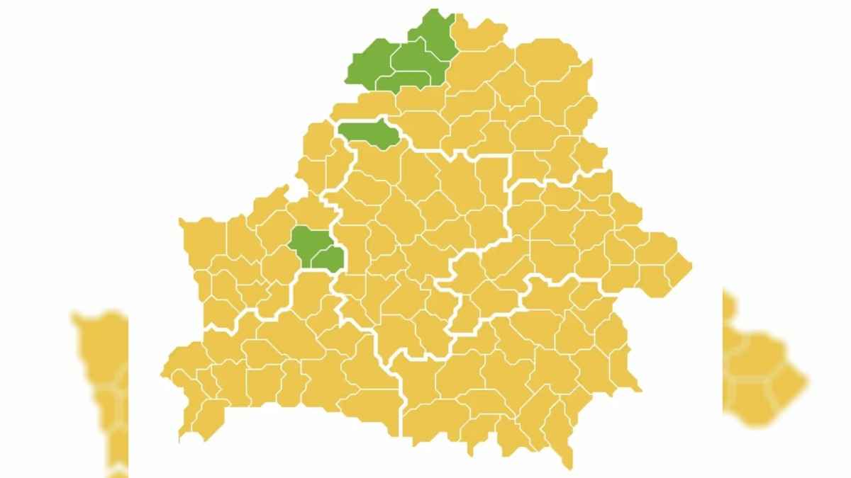 Практически по всей Беларуси ограничили посещение лесов