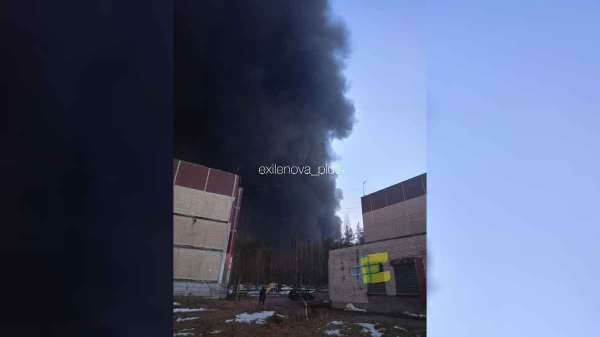 БПЛА ударили по ключевому нефтяному терминалу в Ленинградской области РФ