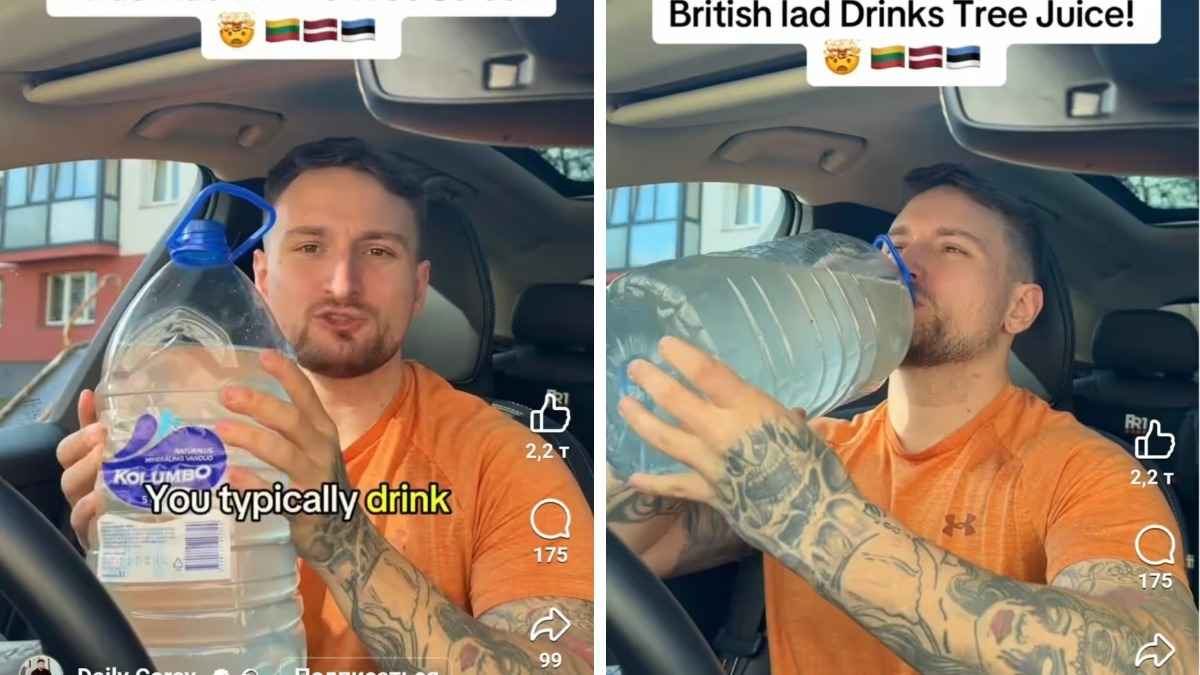 Британец попробовал березовый сок и поделился впечатлениями: «Как кокосовая вода»