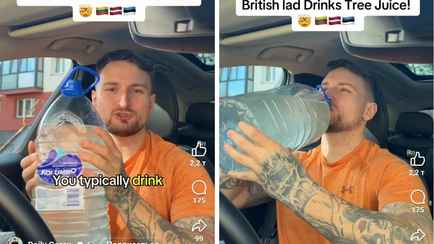 Британец попробовал березовый сок и поделился впечатлениями: «Как кокосовая вода»