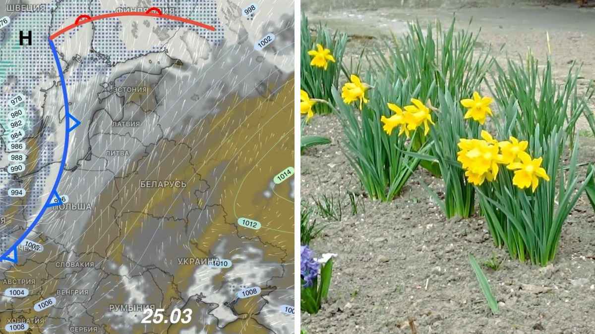 После похолодания на 12° в Беларусь придет потепление. Синоптики рассказали когда