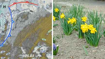 После похолодания на 12° в Беларусь придет потепление. Синоптики рассказали когда