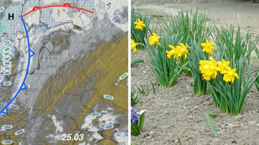 После похолодания на 12° в Беларусь придет потепление. Синоптики рассказали когда