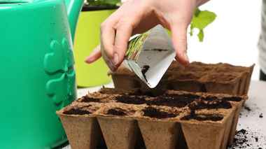 Этот план посева овощей и цветов по месяцам поможет не упустить идеальные сроки