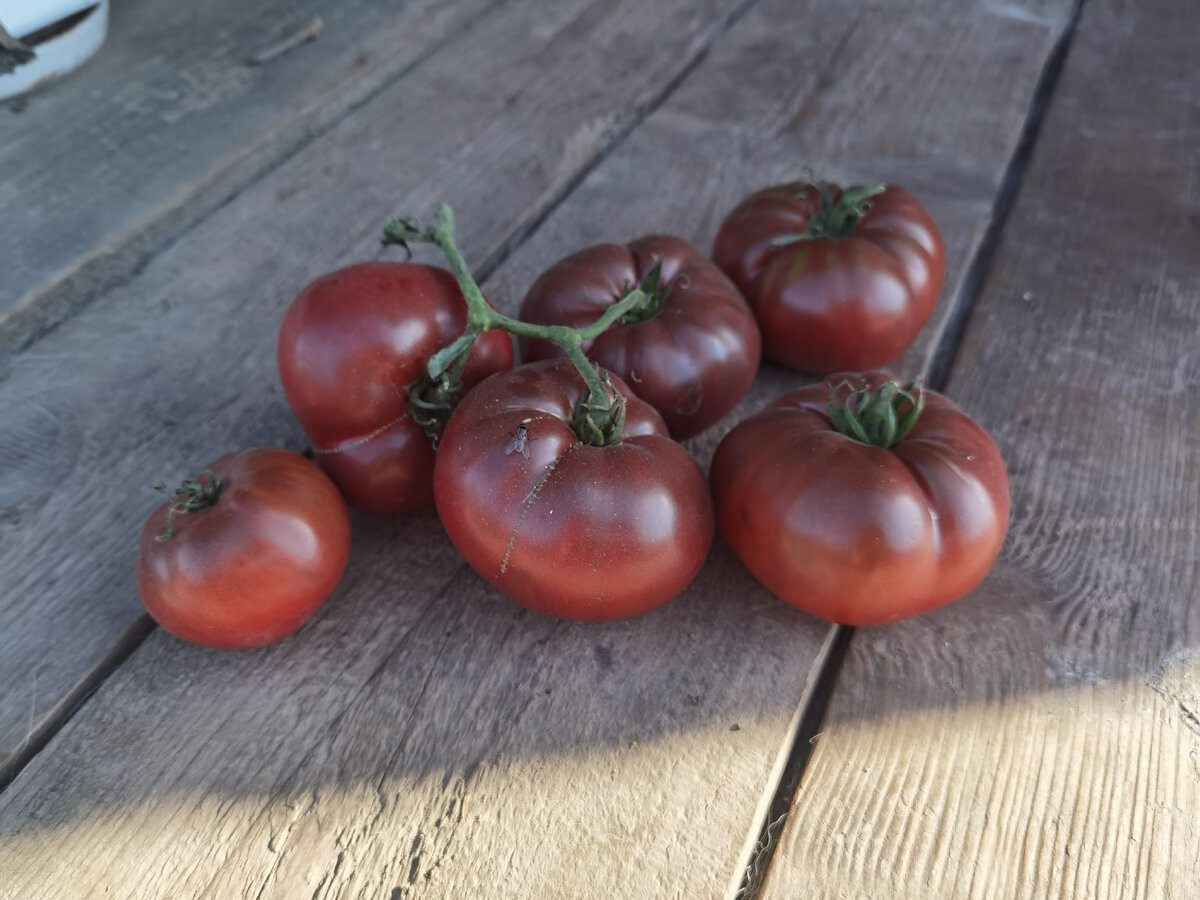 Фото иллюстрационное