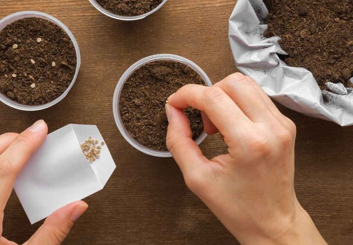 Фото иллюстрационное